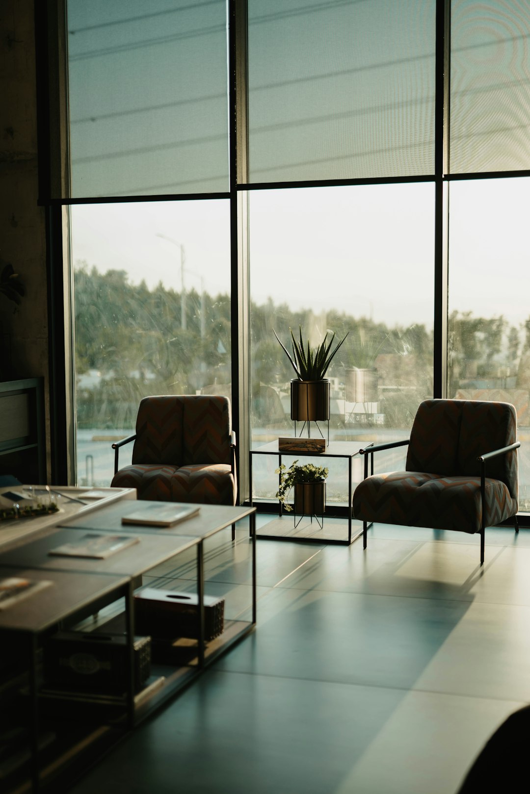 Executive Wilderness Suite